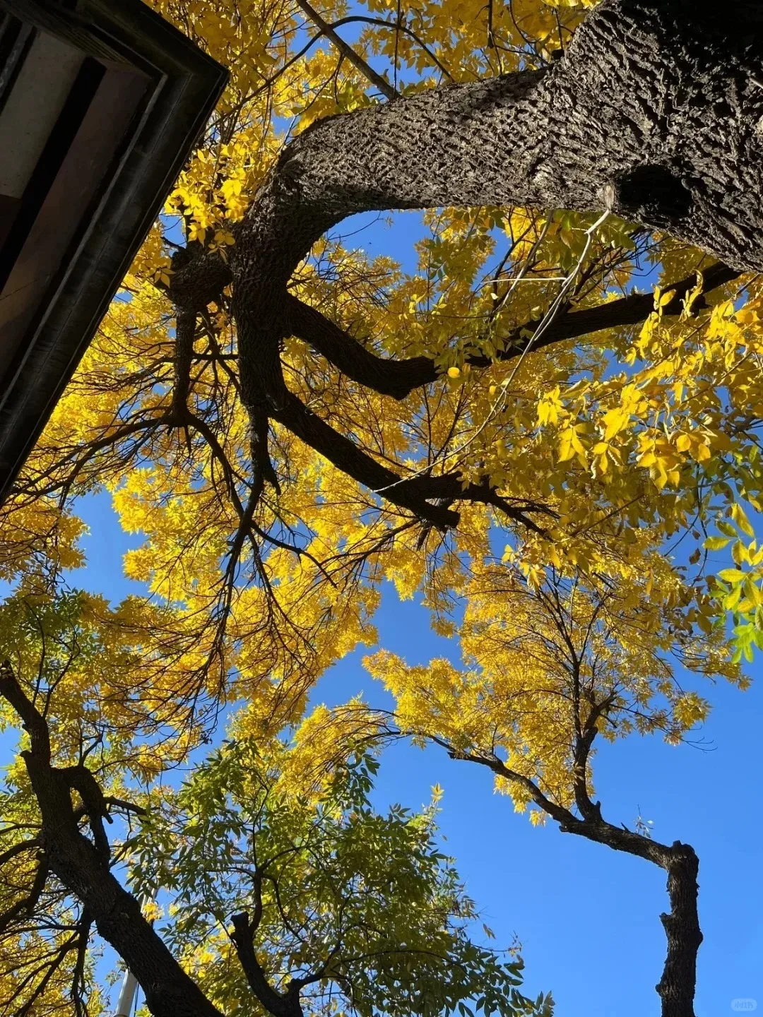 

For Toyota Land Cruiser Prado LC120 GPS Car Radio Multimedia Video Player Autoradio GX470 Carplay 13.6inch Android Touch Screen