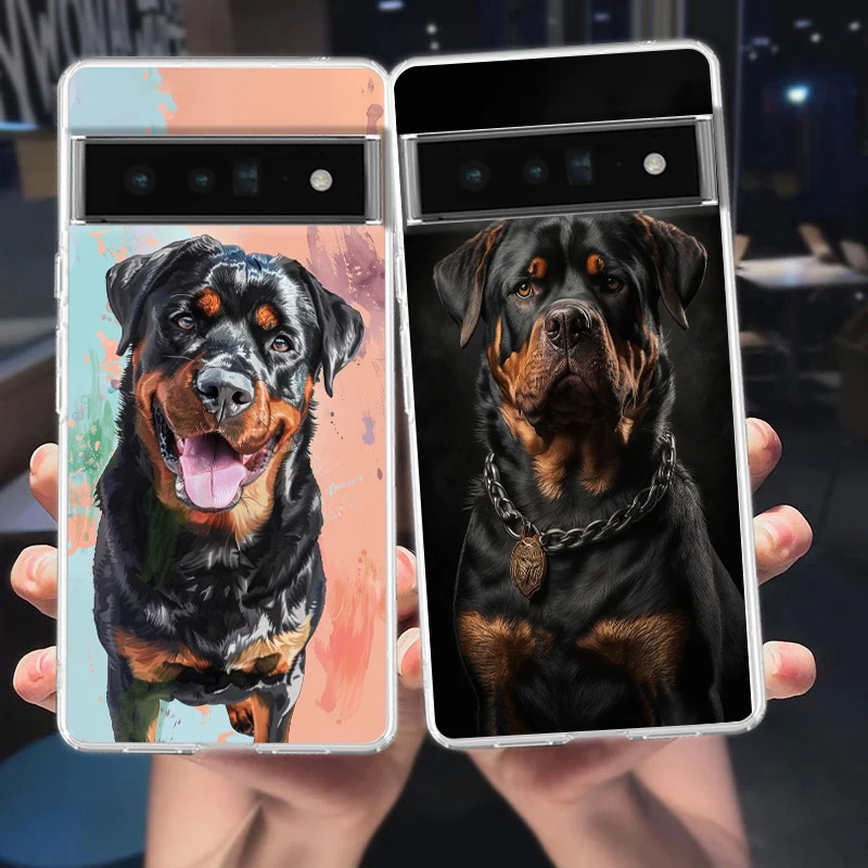 For Google Pixel 10…