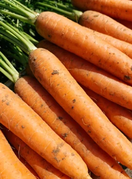 

2025 5D 80k Cavitation + R&F+Vacuum Body Slimming Fat Burner Health Machine 6 in 1 Ultrasound Massager Weight Loss Beauty Device