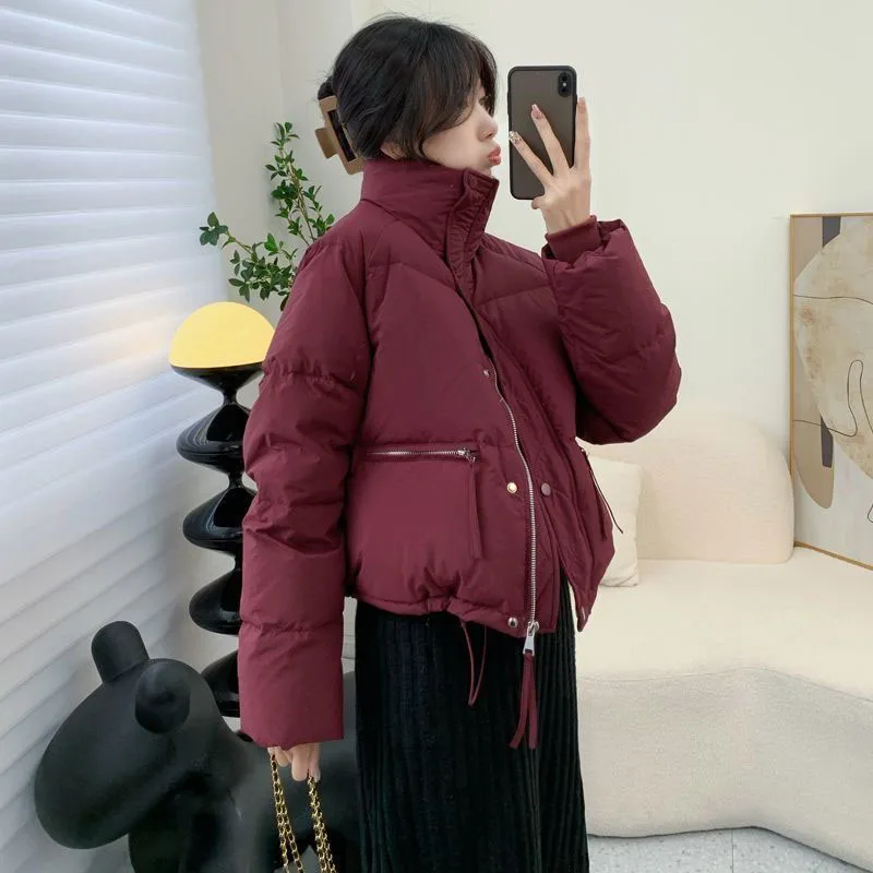 Standing Neck Thicken Warm Parkas Woman Winter High Quality Zipper Pocket Outerwear for Women Korean All-Match Solid Coats Lady