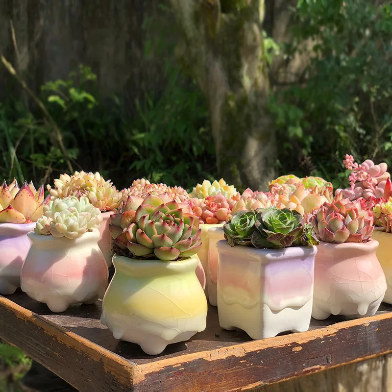 

Korean Cute Meaty Flowerpot Ice Cracking Flowing Glaze Candy Cheese Flower Pot Water Absorbing and Breathable Potted