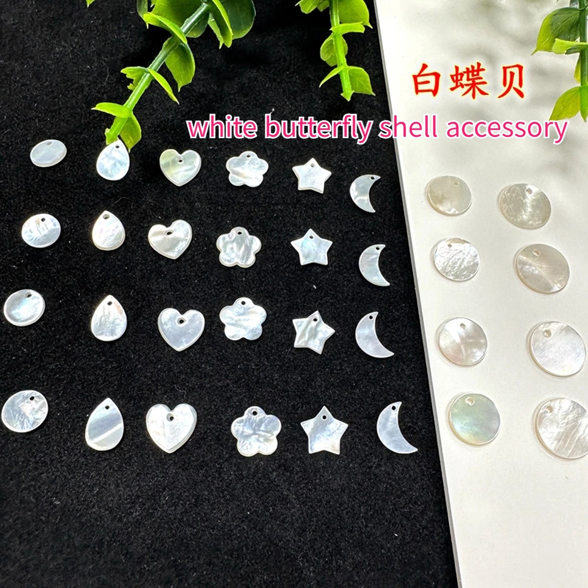 

10Pcs White Butterfly Shell Pendant Natural The Mother Of Pearl Shell Beads For Jewelry Making DIY Necklace Earring Accessory