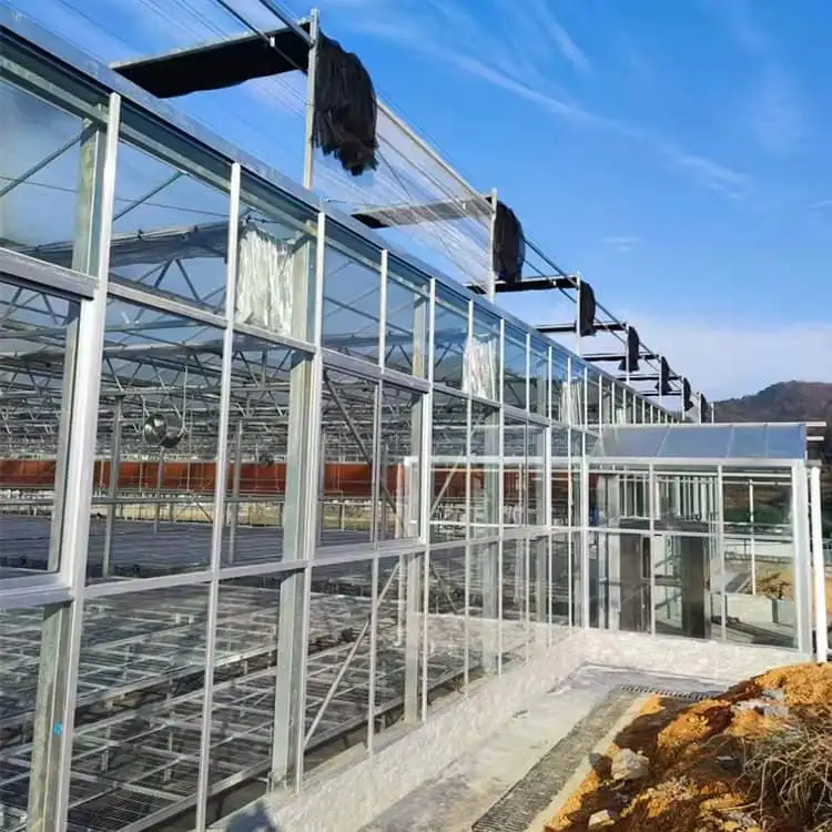 

Customized greenhouseHot Galvanized Steel Glass Greenhouse with Hydroponic Towers for Strawberry/Tomato Farming