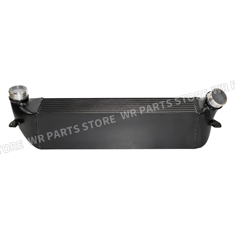 Aggiornamento intercooler ad alte prestazioni Worms per Hyundai Veloster N/I30N 2019+