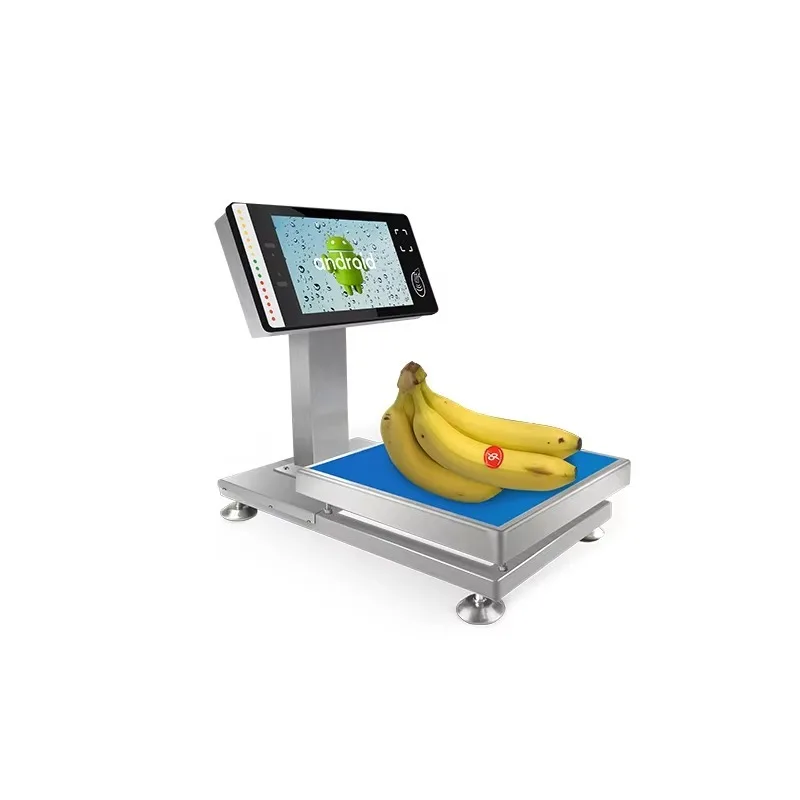 Pos System with Weighing Scales/all in One Pos Scale with Windows/Electronic Digital Weighing AI Pos Scale