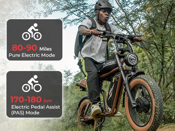SAMEBIKE M20-III Electric Bike Image 1
