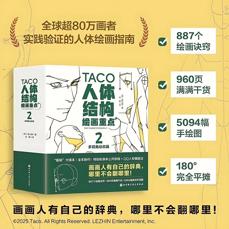 TACO Key Points in Drawing Human Anatomy Vol.2 Quick Qrawing Art Book Human Body Structure Modeling Hand-painted Technique Book