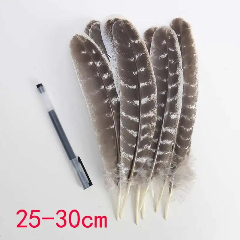 

Fireworks Chicken Nest Feather 20-32cm Natural Feather DIY Headwear Accessories Arrow Feather Performance Props 10 pieces