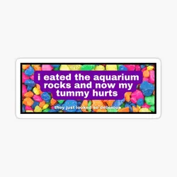 I Eated The Aquarium Rocks And Now My Tu  10PCS Stickers for Wall Decorations Room Luggage Stickers Water Bottles Kid