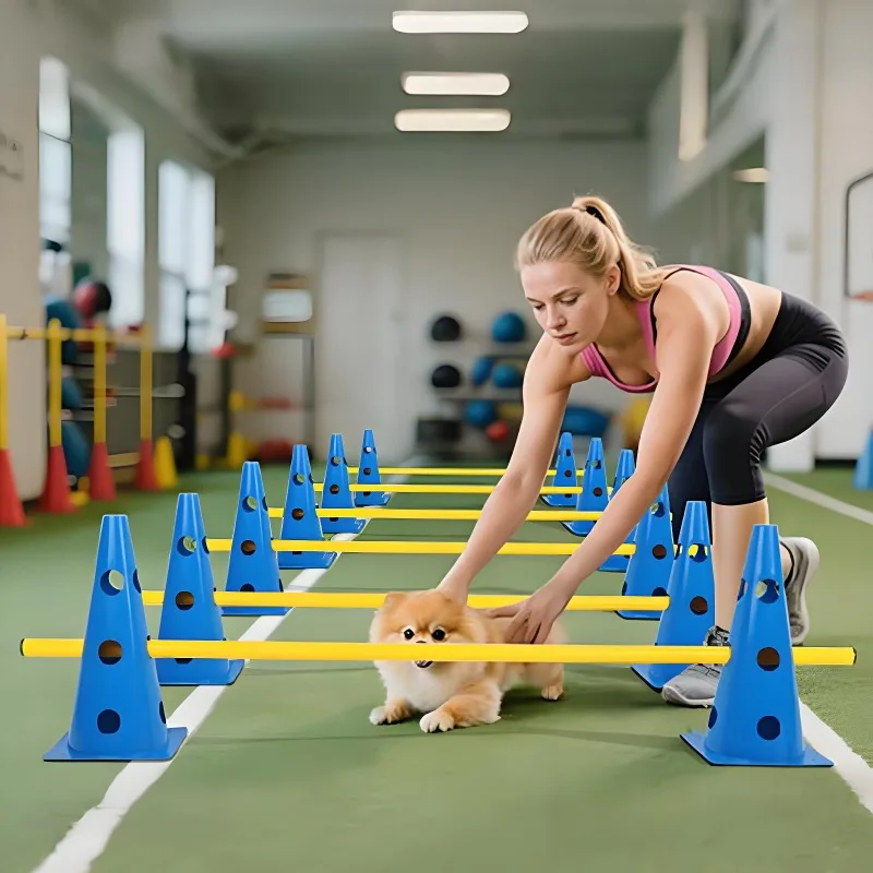 

Dog Agility Course Backyard Set, Dog Agility Hurdle Cone Set with Height Adjustable Crossbar for Rehabilitation & Beginners,