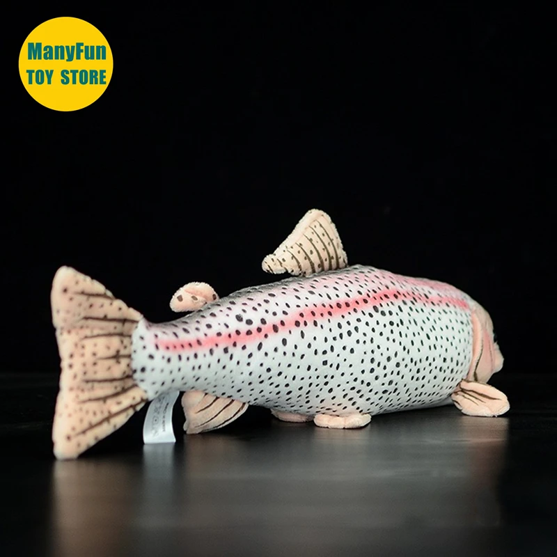 Regenboogforel knuffel - levensechte zalmvis knuffeldier, realistische zachte forel knuffel, Kawaii zoetwatervis pop cadeau