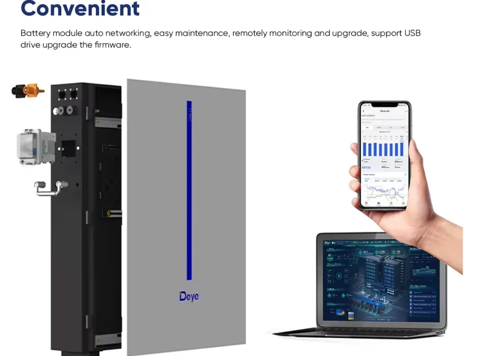 Deye Lithium Ion Batteries SE-G5.1Pro -B Lifepo4 Lithium Battery RW-M6.1-B BOS-G Rack Energy Storage System Low High Voltage