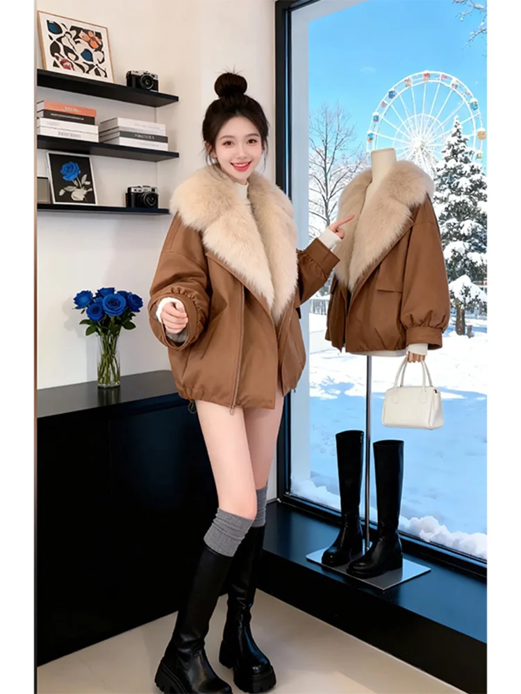 

Корейская модная однотонная зимняя хлопковая куртка для женщин: универсальная, приталенная, для повседневной носки