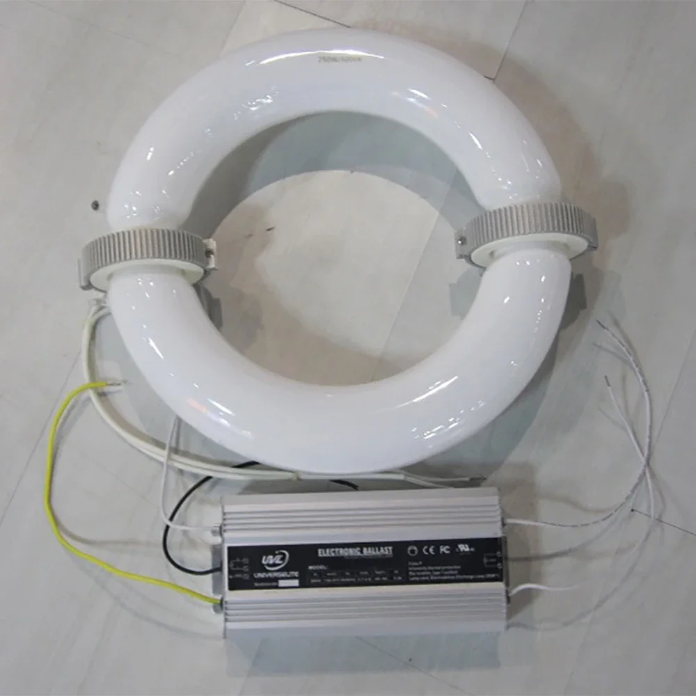 Low Frequency Electronic Discharge Lamp Circular induction lamp 200w LVD bulb