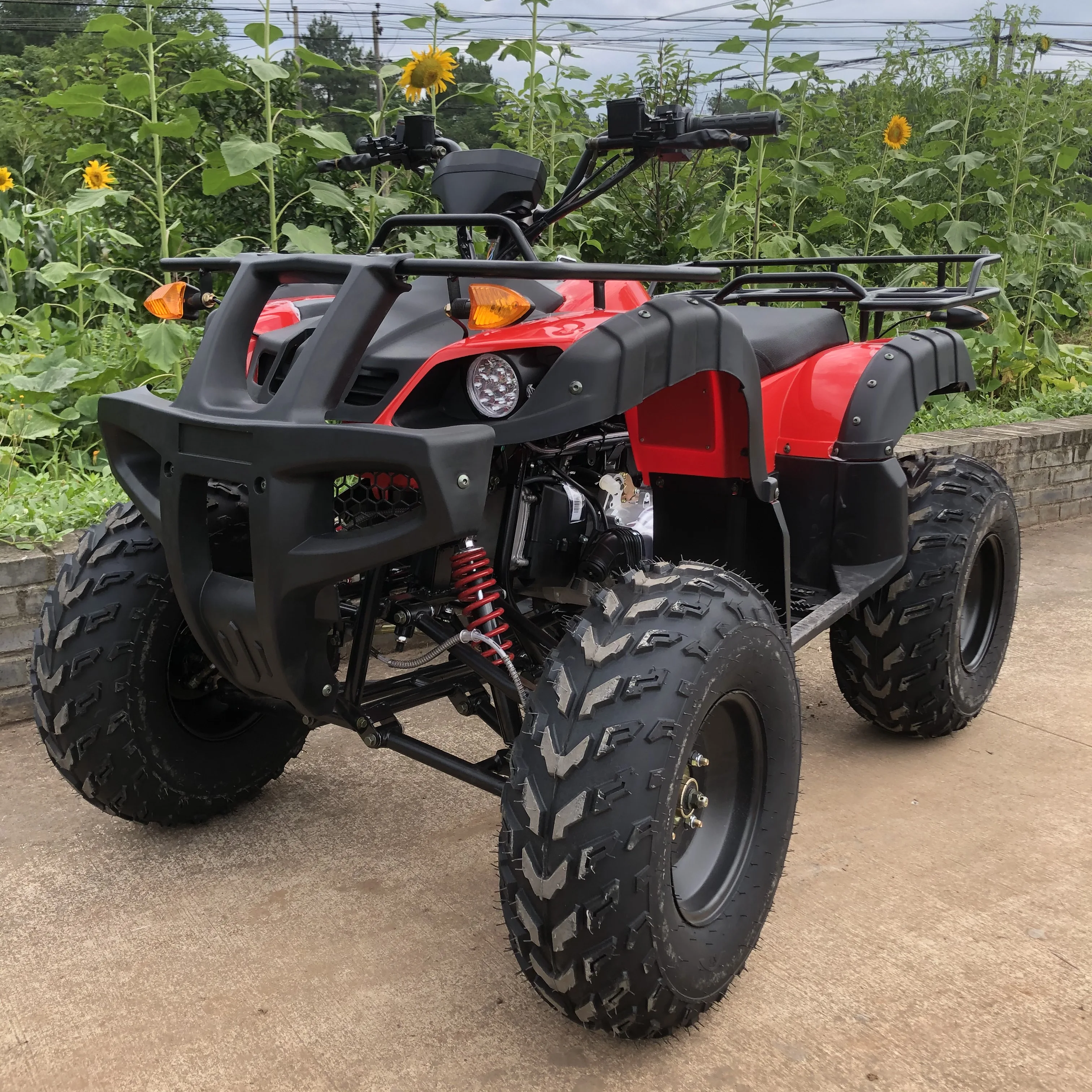 4 Wheel Quad Bike ATV Adult Motorcycle GY6-150cc 4-Stroke Engine 2WD Automatic Chain Drive CE Certified