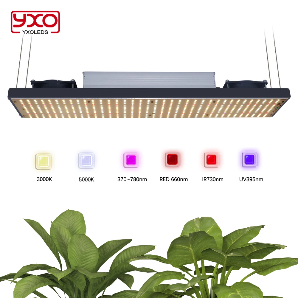 320W Full Spectrum LED Grow Light SAM-NG LED Chips Dimmable Quantum Phyto Lamp For Veg Flower Plants Indoor Plants Growth Light