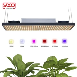 320W Full Spectrum LED Grow Light SAM-NG LED Chips Dimmable Quantum Phyto Lamp For Veg Flower Plants Indoor Plants Growth Light