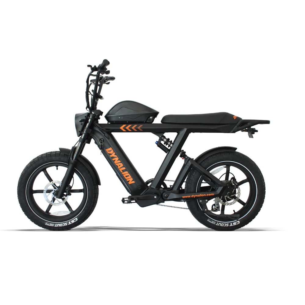 

STLF DYNALION 48V 1000W China Cheap Full Suspension Retro Vintage E Bike Ebike Dirt Mountain Fat Tire Bicycle Electric Hybrid B