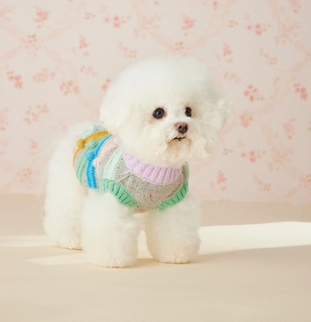 New Arrival Macaron Color Pet Knit Vest Adorable Pom Pom Decoration Color Block Sleeveless Dog Sweater for Maltese Yorkie