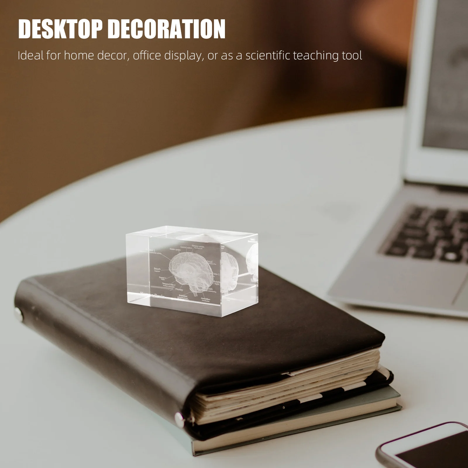 

Crystal Human Brain Anatomical Internal Engraving Cube Decorative Paperweight Science Educational Display Gift for Medical