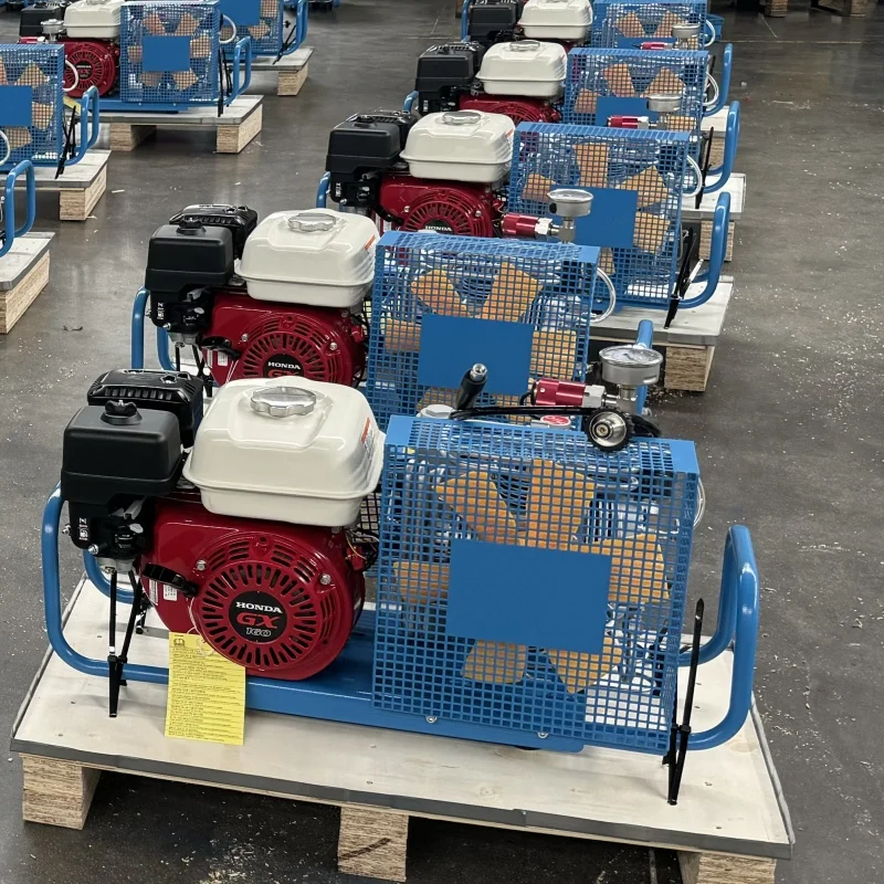 

220V 380V Tank Filling 100L 200bar 300bar Small High Pressure Portable Cylinder Filling Breathing air Compressors