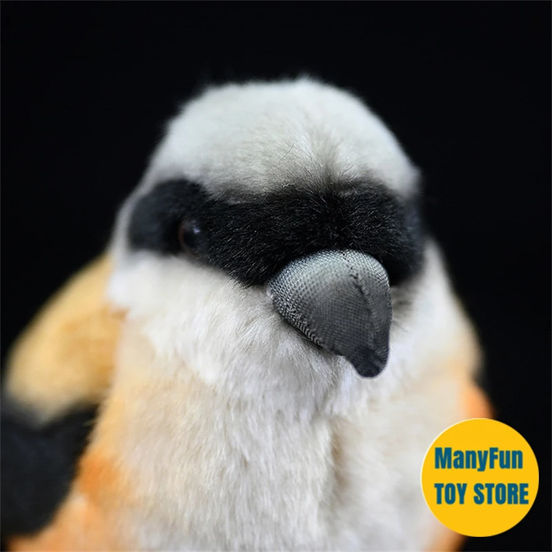 Brinquedo de Pelúcia Realista de Pássaro com Cauda Longa, Pelúcia de Alta Fidelidade, Pássaro de Pelúcia Realista, Brinquedos para Crianças