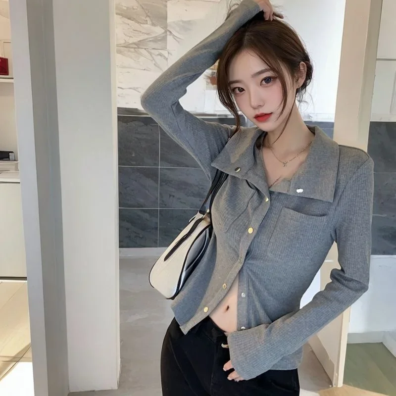 Herbst Damen Graues Einfarbiges Oberteil mit Reverskragen und Langen Ärmeln Einzigartiges Nischendesign Elegante Textur Vielseitig Kombinierbar Koreanischer Chic Minimalistischer Oberteil – Detail 5
