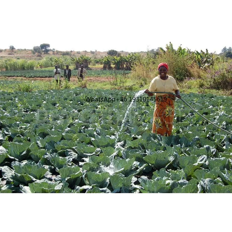 

【From China】24V DC Submersible High Pressure Solar Well Pump Kit For Cattle Solar Powered Livestock Agricultural Water Troughs P