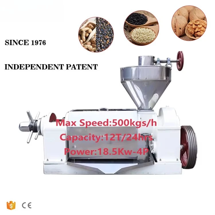 New Type Seed Oil Extraction Machine Oil Expeller for Seeds Big Capacity Cold Coconut Oil Press Machine