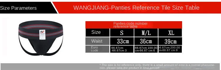 Trendy Men's Jockstrap Briefs Mesh Stretch Sexy Underwear for Sports & Nightclub Comfortable Support Party Gay Underwear LGBTQ
