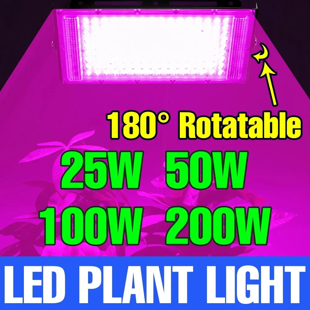 Lampe de culture LED à spectre complet 200W pour plantes d'intérieur 220V, éclairage de remplissage pour serres, légumes, fleurs hydroponiques, succulentes et cactus