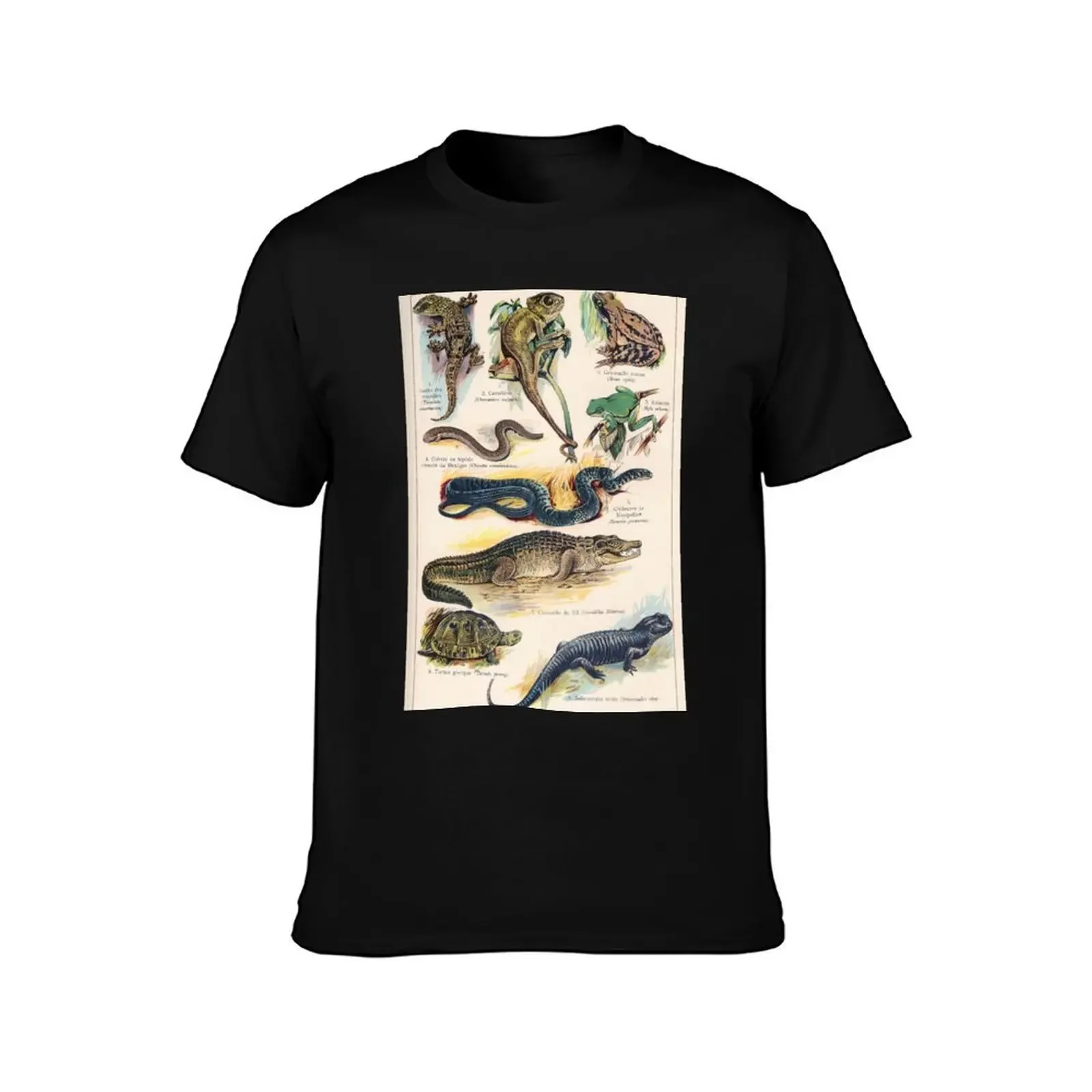 Vintage french biology illustration - Quillet - Reptiles T-Shirt Man t-shirt tops customizeds Funny t-shirt Men's clothing