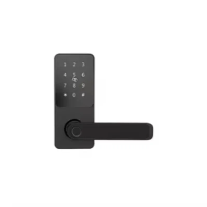 RSH Factory Direct Sale Digital Password Smart Lock TTLock for Wood Glass Door Safe Chinese Lock for Hotels Apartments Flats