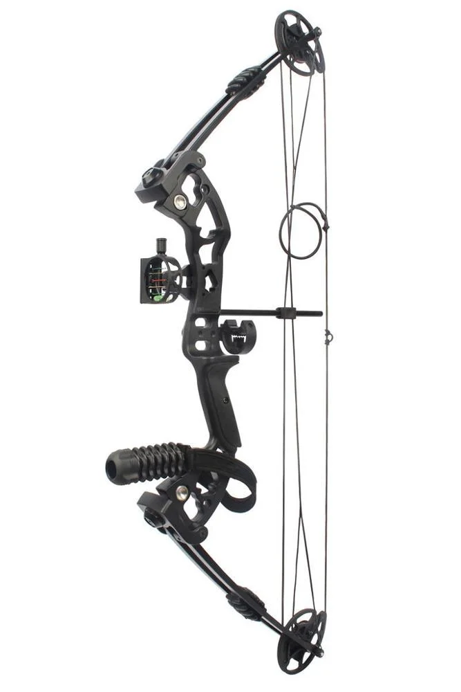 M125 Right Hand Professional Compound Bow Quality Compound Bow Complete Bow and Arrow Set Hunting