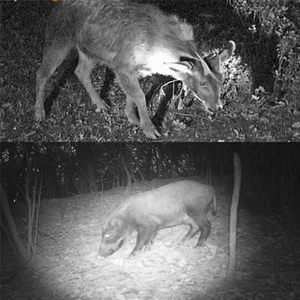 أعلى 10 مبيعات للرؤية الليلية للبنادق - رقم 10