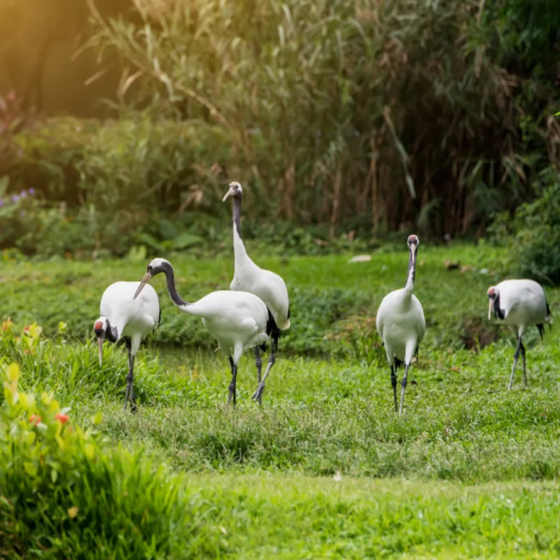 

1 шт. вращающийся на 360 градусов светодиодный инженерный светильник для экскаватора 1/14 Tamiya RC грузовик прицеп самосвал Scania 770S автомобильные детали Diy