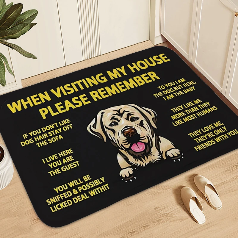 

Pet Dog Entrance Door Mat Useful Things for Home Toilet Bedroom Living Room Floor Carpet Washable Non-slip Kitchen Bathroom Rug