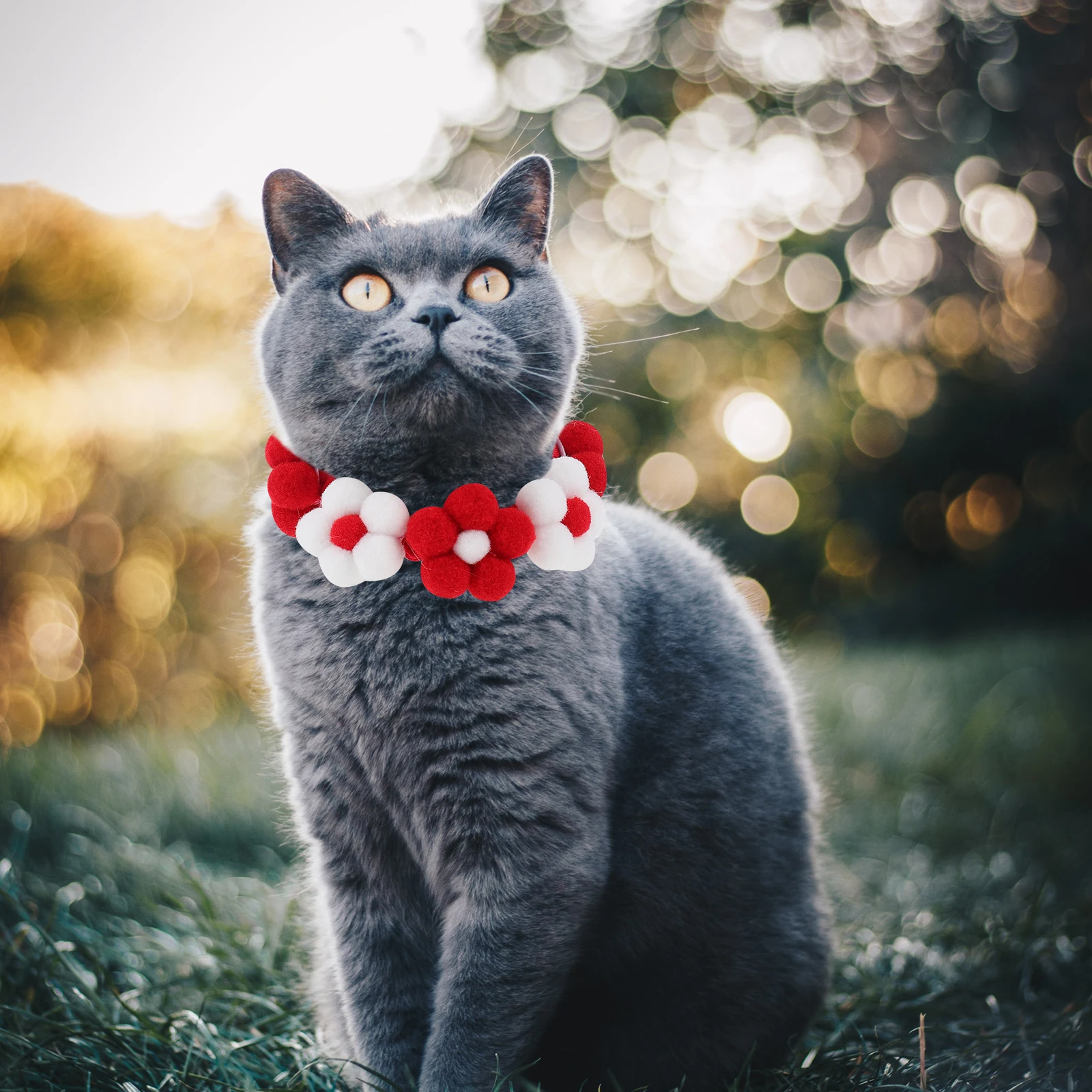 

Adjustable Knitted Pet Collar For Cat Dog Fashionable Lightweight Scarf Collar Decorative Accessory Red Kitten Collars Homemade