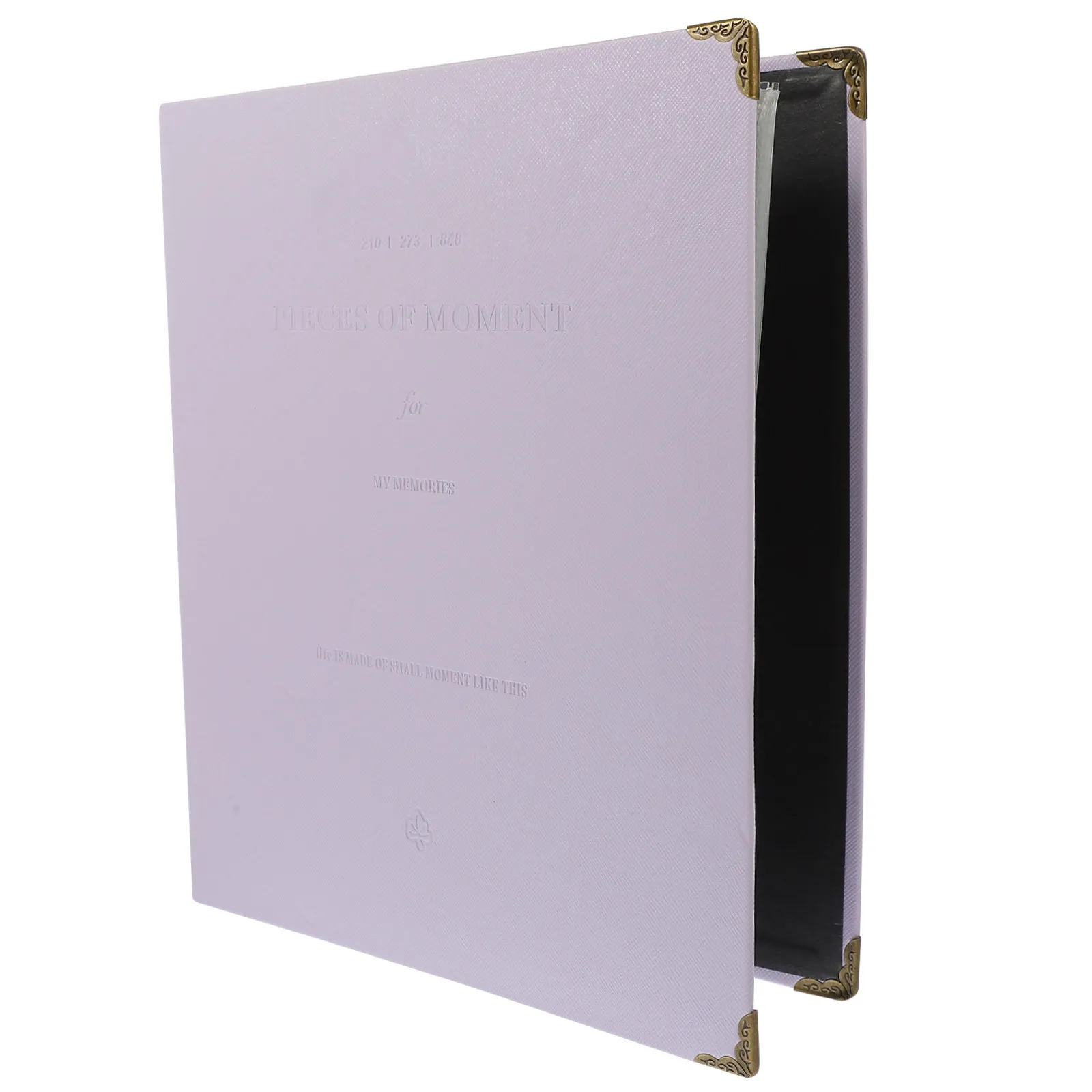 Large Photo Album Refill Pages – Reusable Plastic Sleeves for Photos, Documents, Coupons & Cards Organization