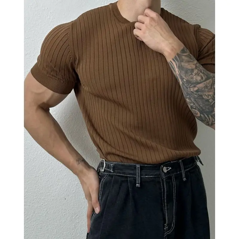 Thicken Men Clothing Slim Bottoming Knitted T-Shirts Korean Summer Streetwear Fashion Short Sleeve Solid Versatile Casual Tops