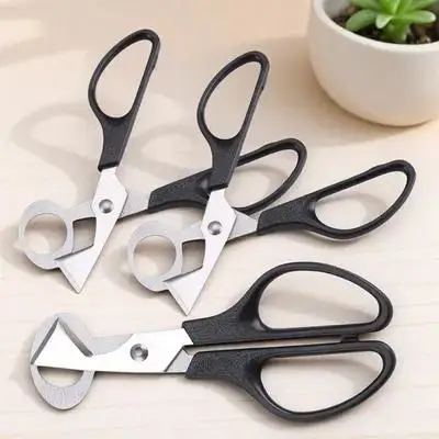 

3Pcs Egg Scissors Stainless Steel Eggshell Cutter Tool Portable Pigeon Egg Shears for Kitchen Supplies Home Use