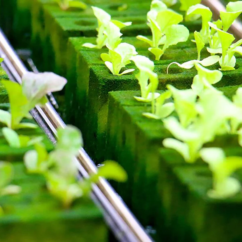 مكعبات وسائط الزراعة المائية ، دفيئة حديقة منزلية ، صخور زراعة إسفنجية ، سدادات بدء الصوف ، أدوات الحدائق ، 36: 50: 50 #2