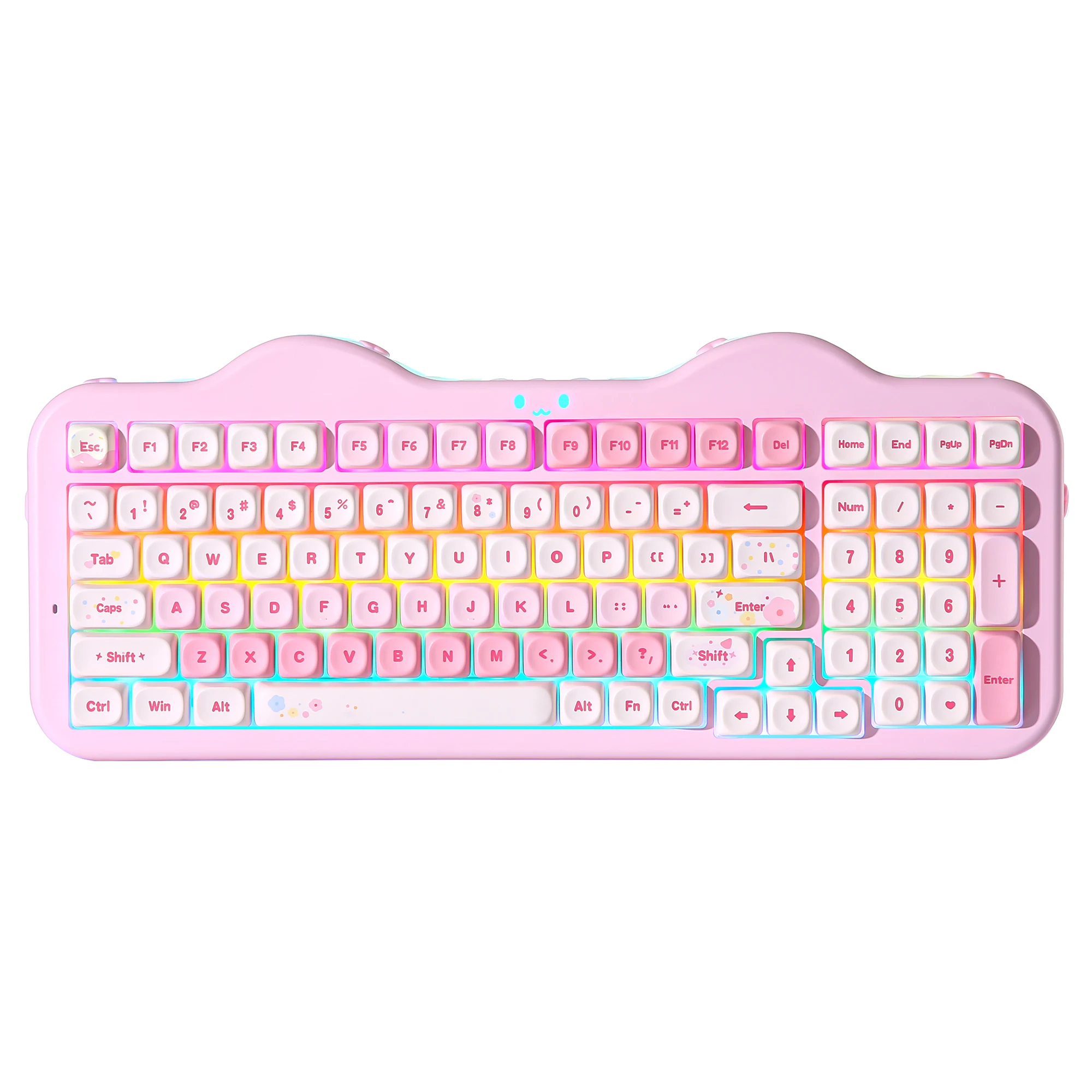 YUNZII C98 Wireless Mechanical Keyboard, 99-Key Hot Swap Gasket Keyboard with Numpad, Custom RGB Backlight,Cute Keeb for Win/Mac