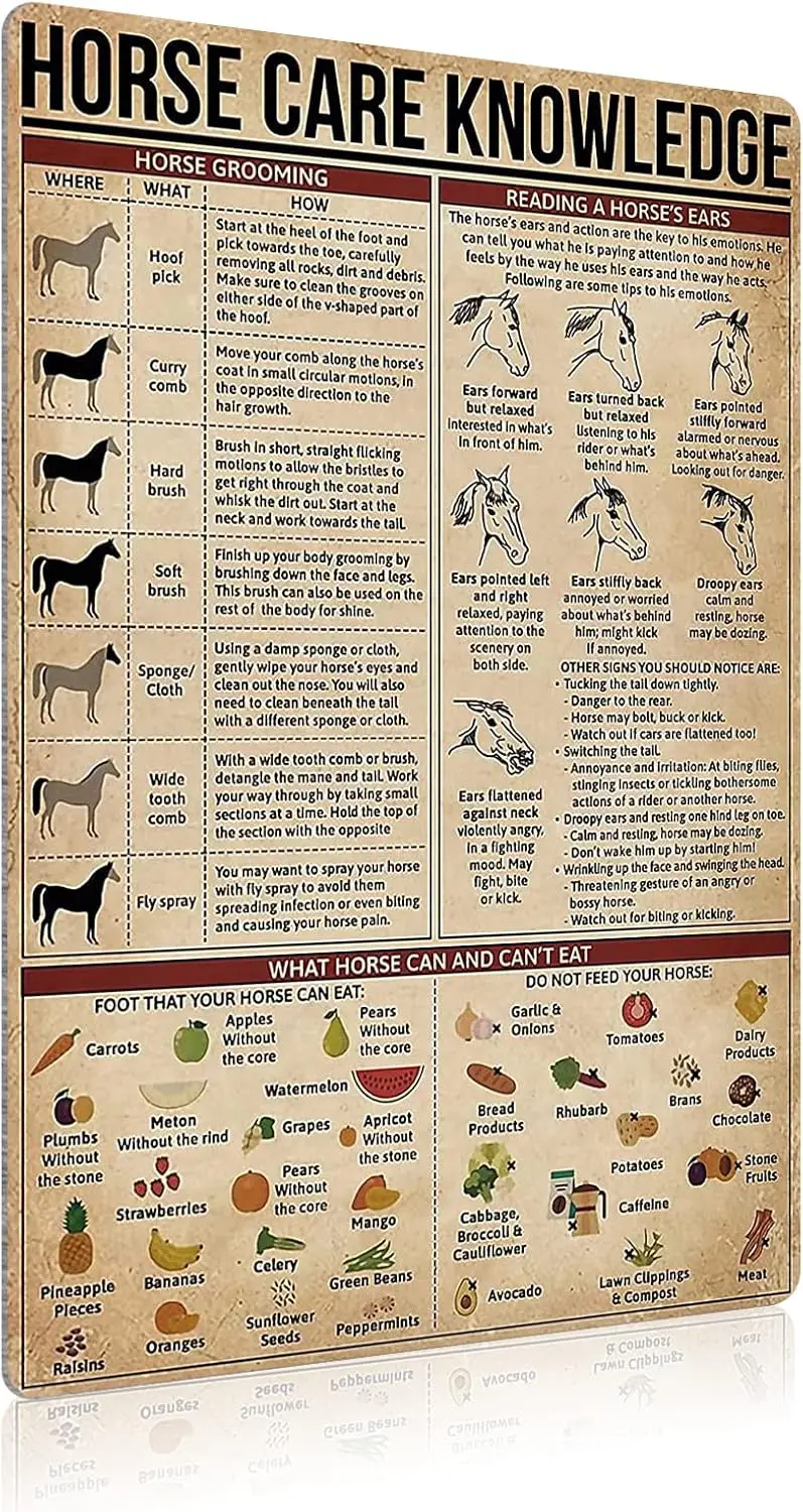 Horse Care Knowledge Vintage Poster Guide Positions Painting Canvas Art Wall Decor Cowboy Posters Farm Club Decor Home Decor Un