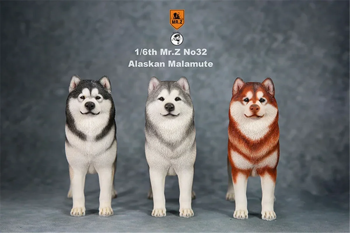 

Mr.Z 1:6 Scale Alaskan Malamute Dog Pet Healing Figure Animal Model Toy Collector Desktop Decoration Adult Gift