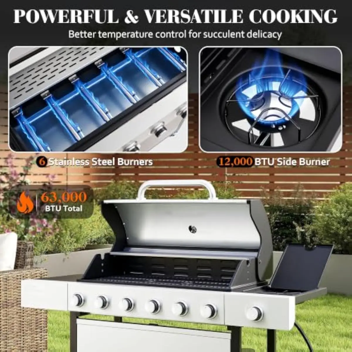 6-Burner Propane Grill Delivers 63000 BTU Output with Side Burner 650 Sq In Cooking Surface Cast Iron Grates Warming Rack Remova