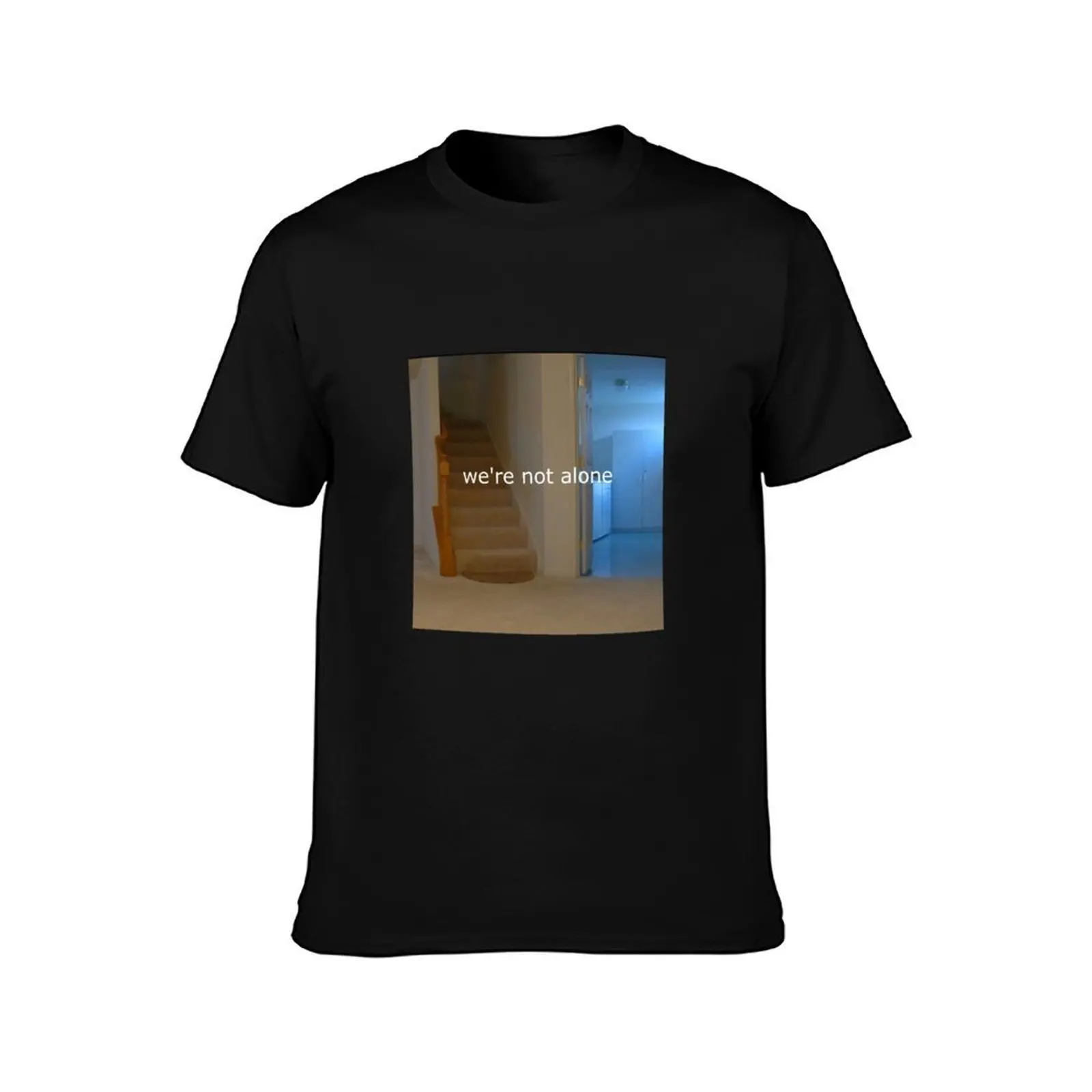 nostalgic dream core hoodie (LIMINAL SPACE AESTHETIC) T-Shirt, Summer Casual Cotton Tee, Oversized Streetwear Tops, 100% Cotton