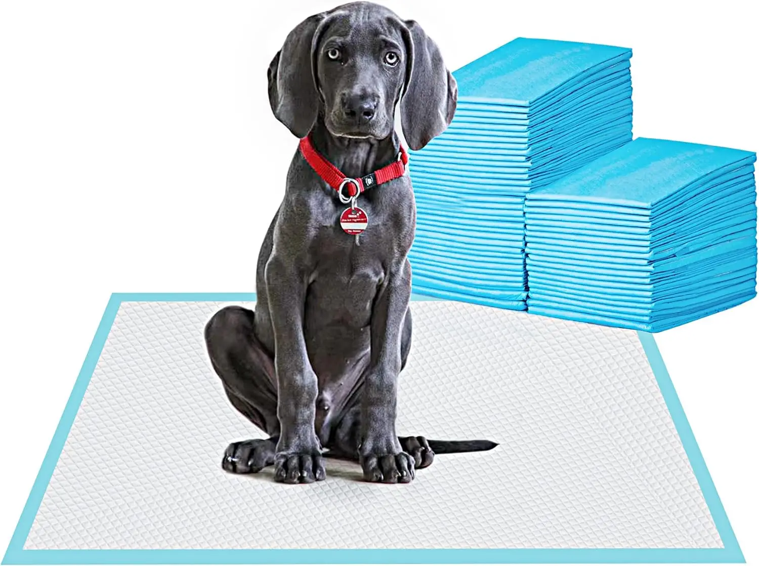 

Large Pet Training Pads 24x24 80 Count Super Absorbent Leak Proof Puppy Pee Pad