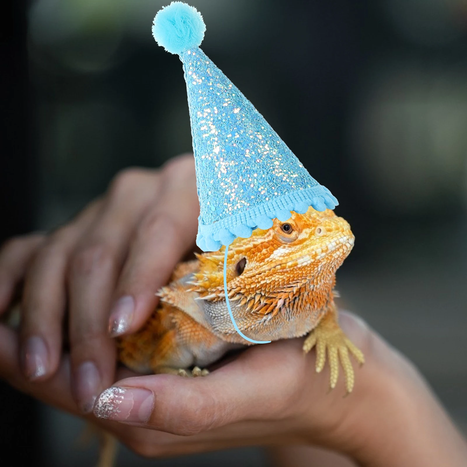 

Christmas Birthday Hat for Lizards Soft Cloth Lightweight Adjustable Pet Supplies Gecko Decorative Hat Halloween Party Costumes