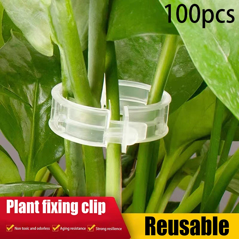 

100 Fixed Plastic Plant Clamps Climbing Plant Clamps For Gardens Upgraded Plant Supporting Clips Plant Fixing Clips Vine Fixing